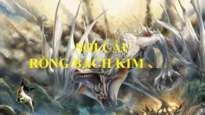 soi cầu rồng bạch kim